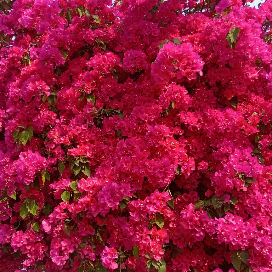 你就是我的唯一！