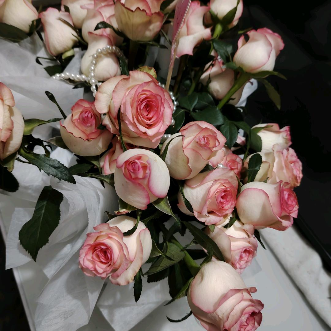 茉莉花🌹🌹🌹