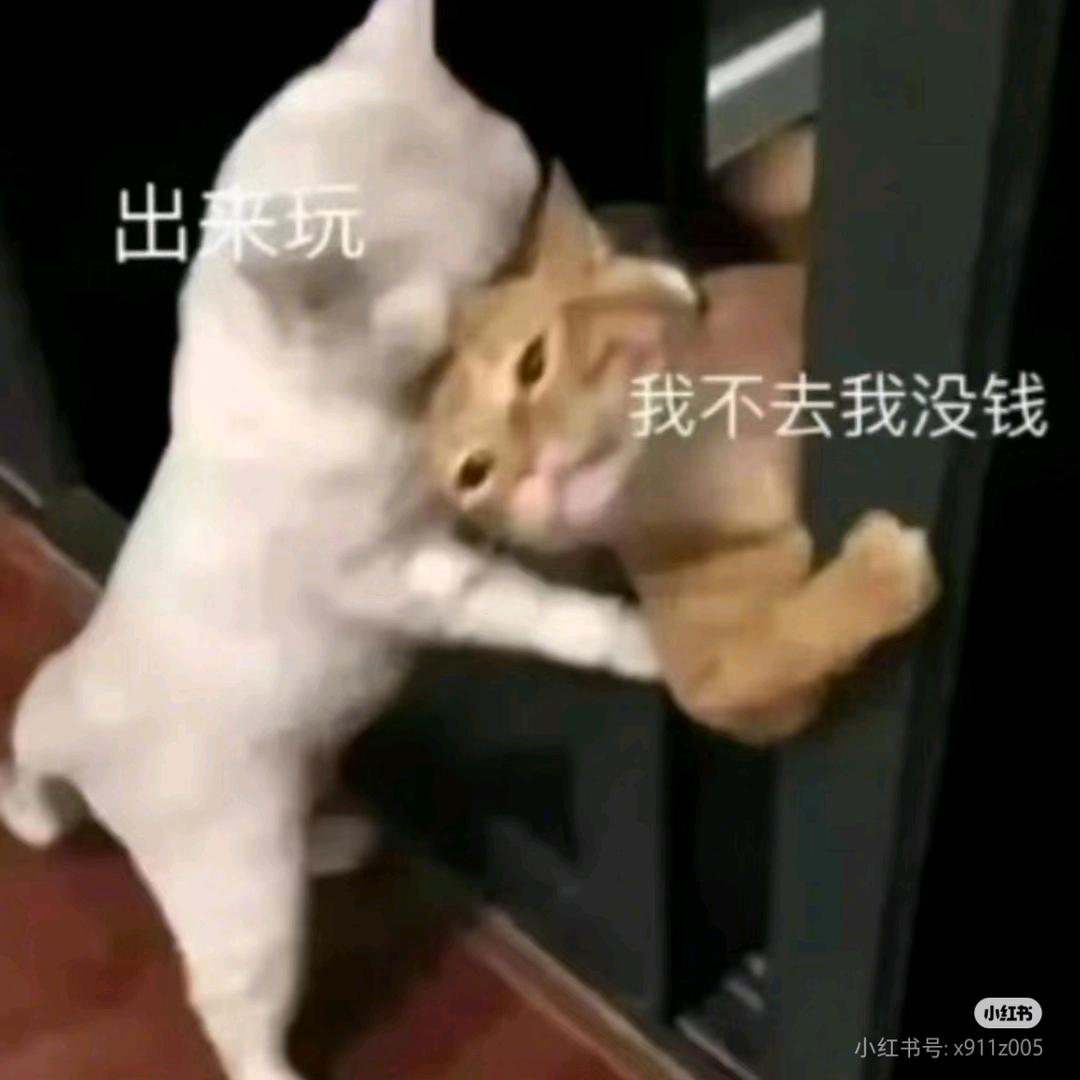 也许是太闲了吧