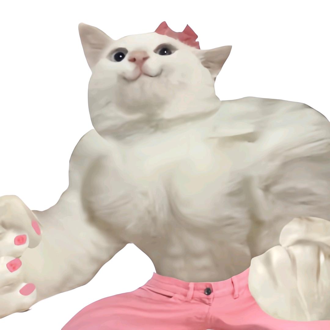 於缨猫meme.（躺平版）