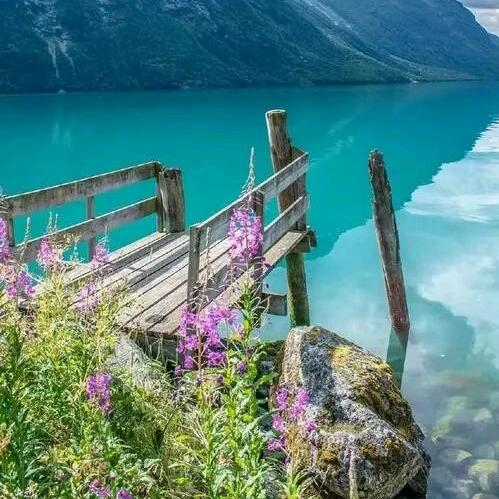 飘流在外面的打工人