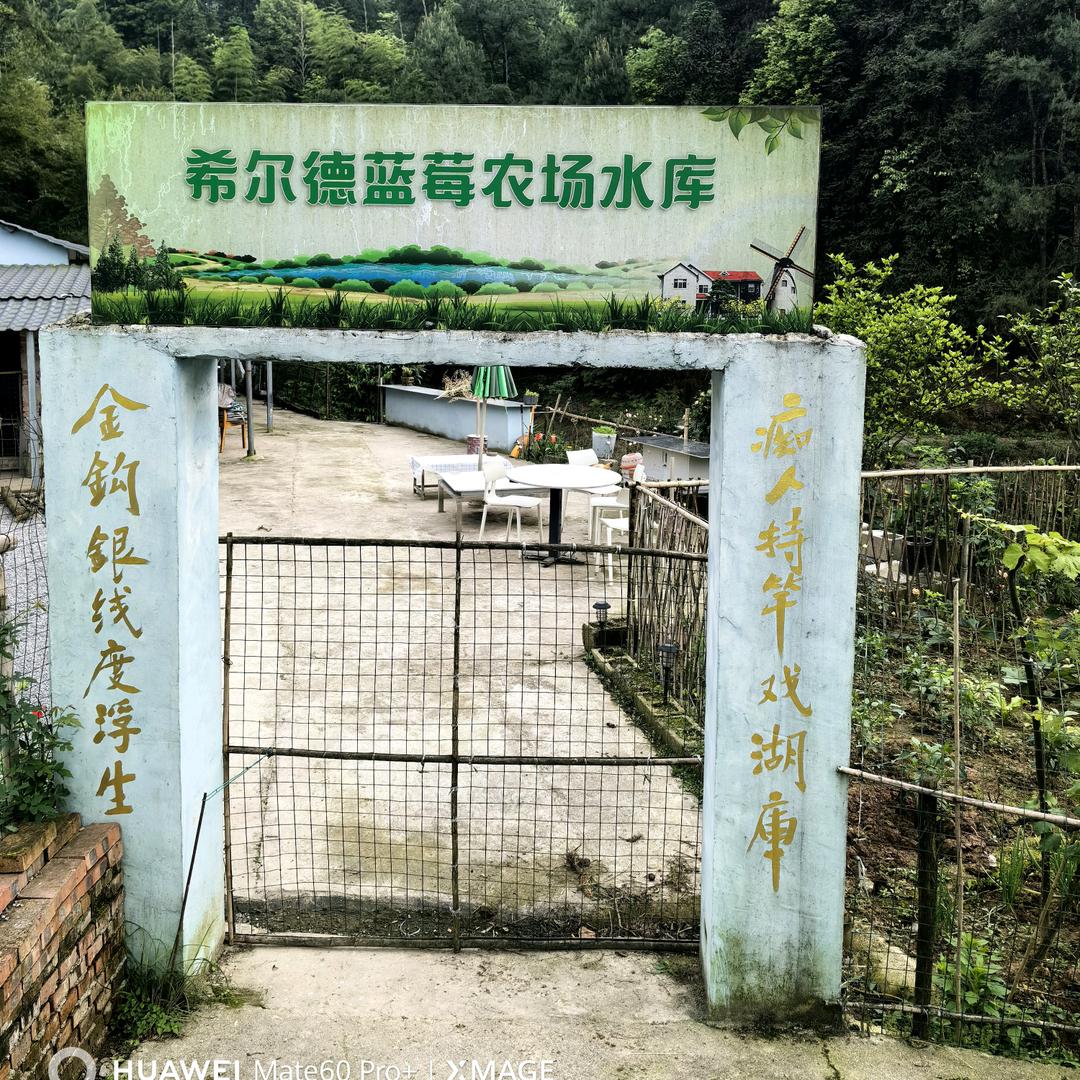 希尔德蓝莓农场水库