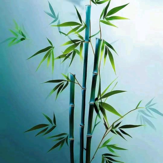 发发