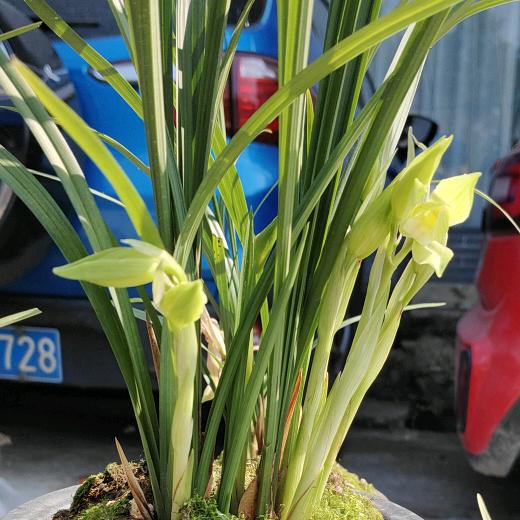 陈心诚意