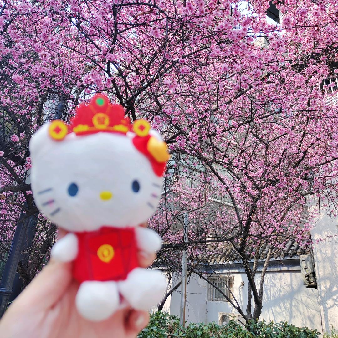 三个苹果高🍎