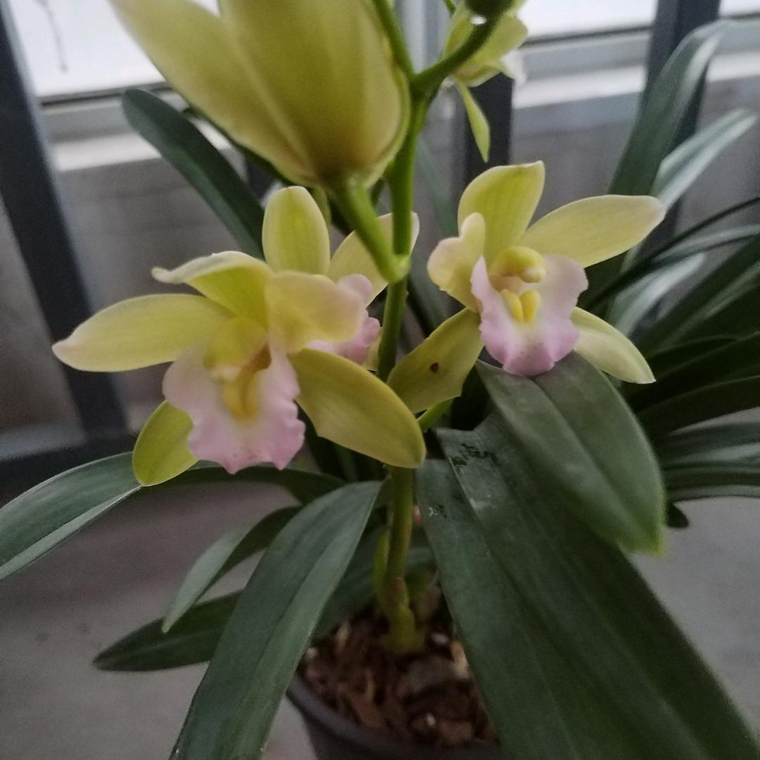 ꫛ᭄随遇💞而安ꦿ້໌ᮨ࿐🌹🎋