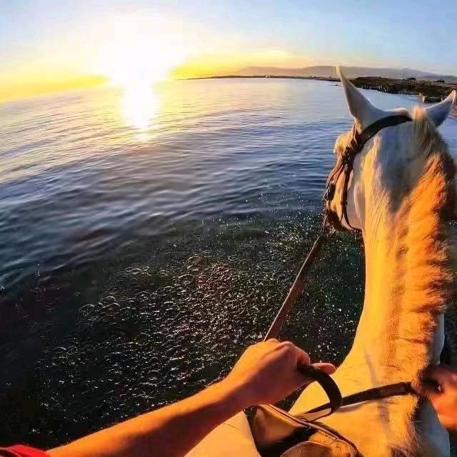 🌈牵着蜗牛去散步