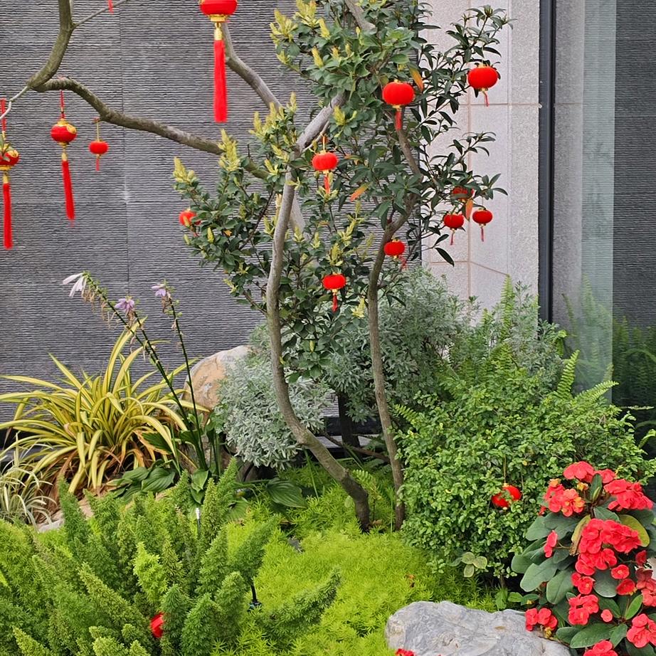 玖居一城 全案设计