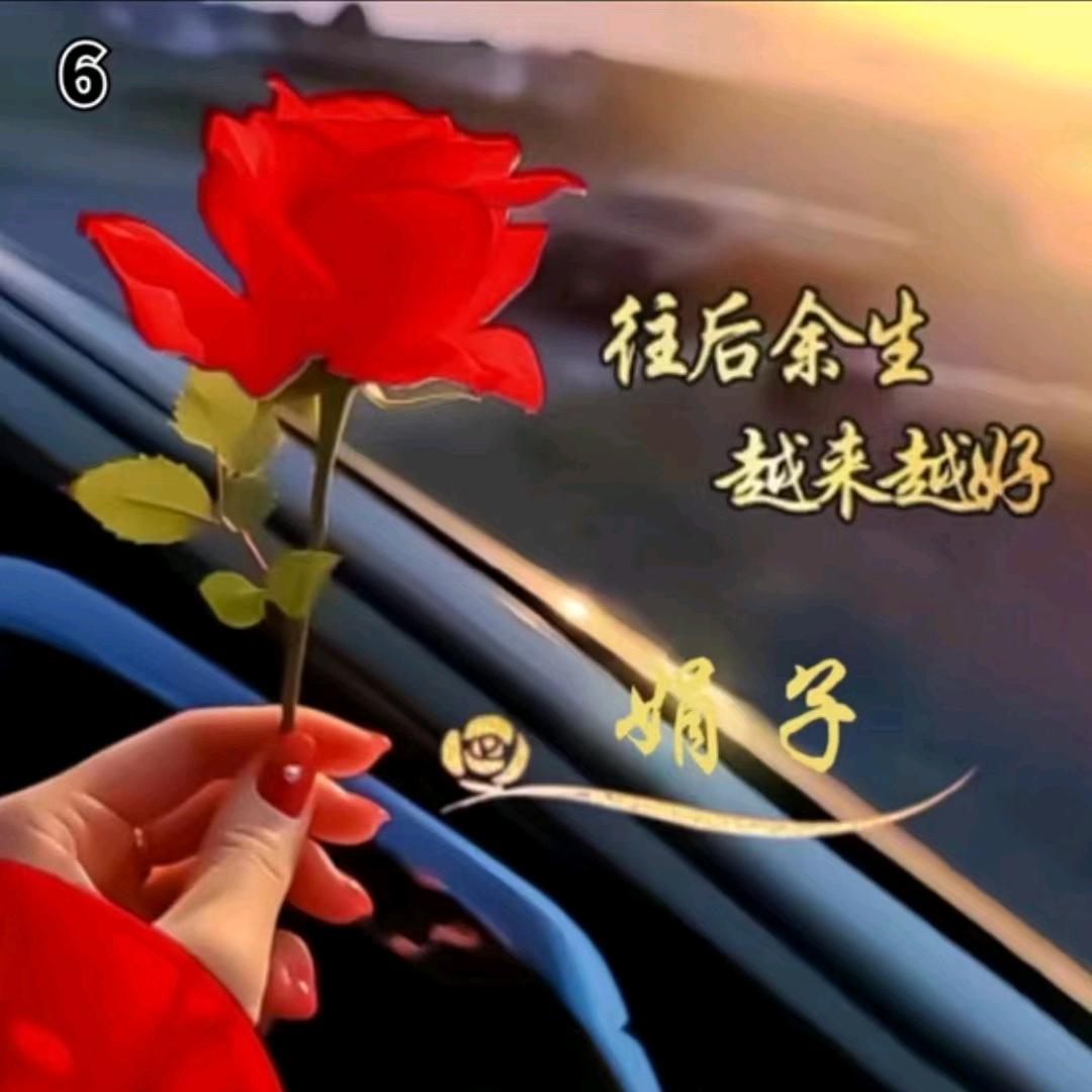 余生❤随心