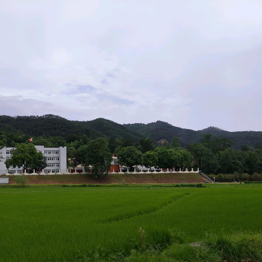 抹去的记忆力