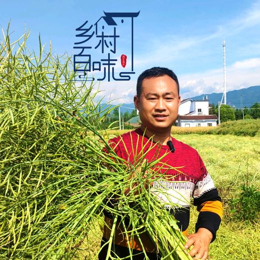 小赵队长乡村百味