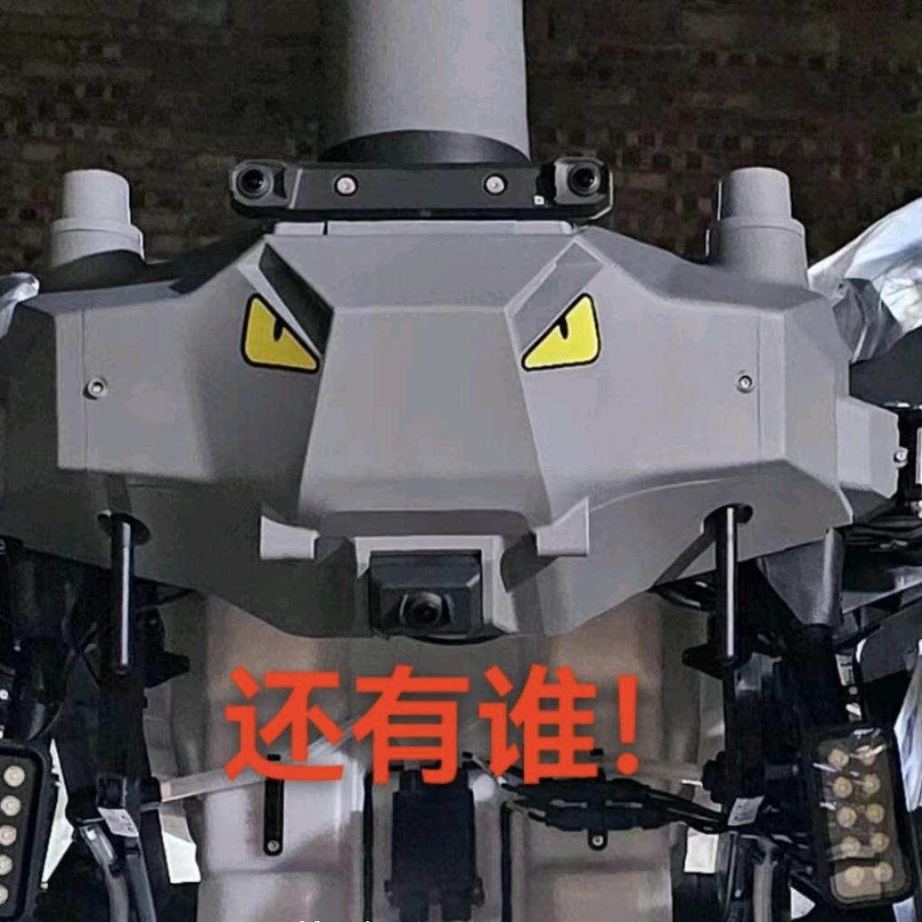李亮大疆二手无人机