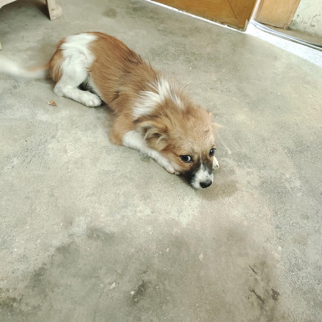 双手一摊  致敬老詹