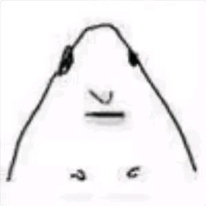 墨烟