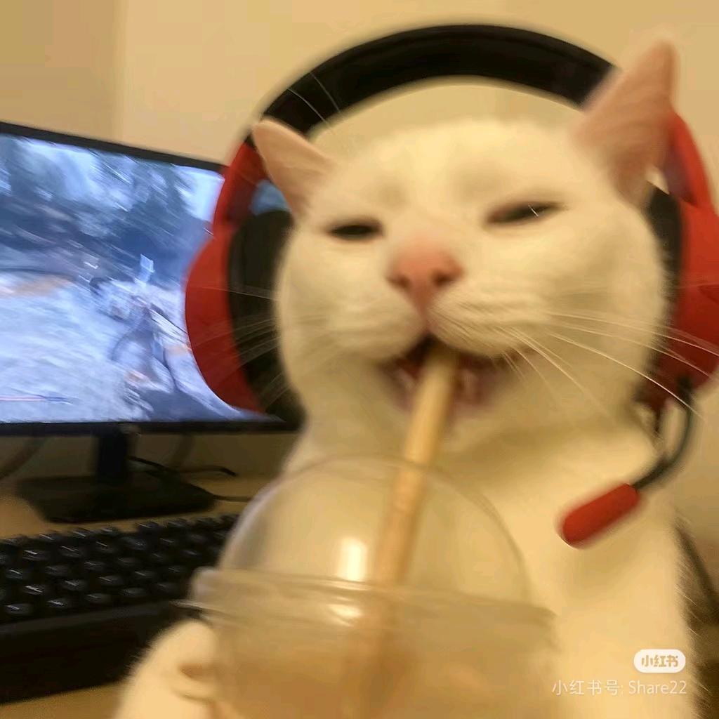 CN