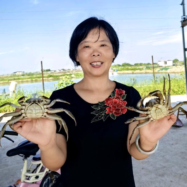 苏州螃蟹周姐
