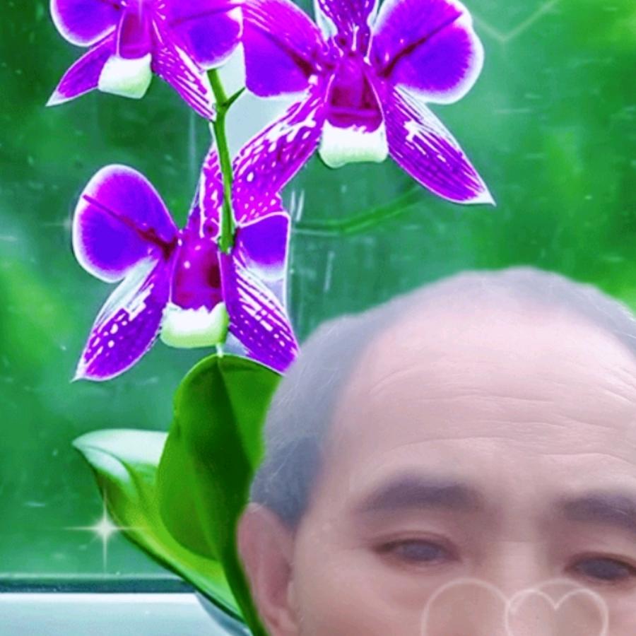用户3505420572078