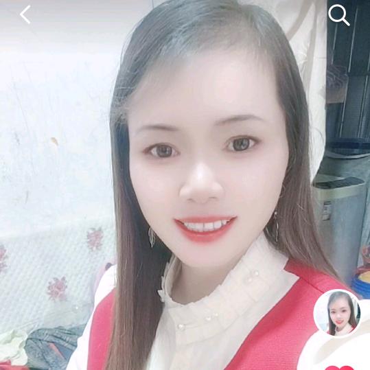 《小燕子》