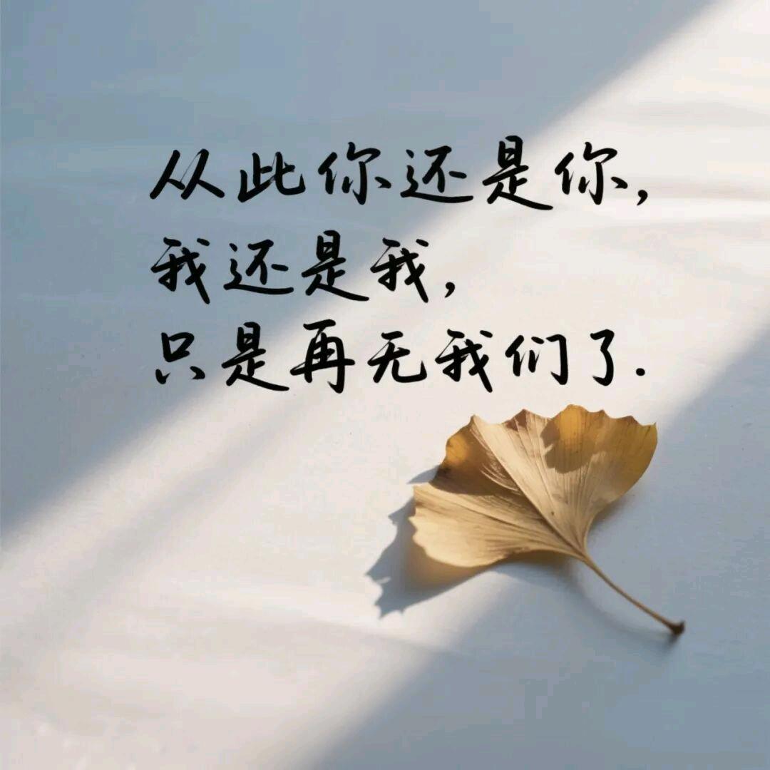 淡定………～～～～