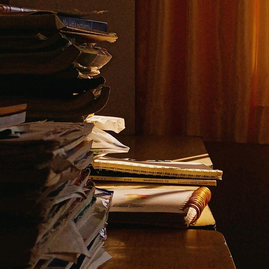 江苏食品小桑老师