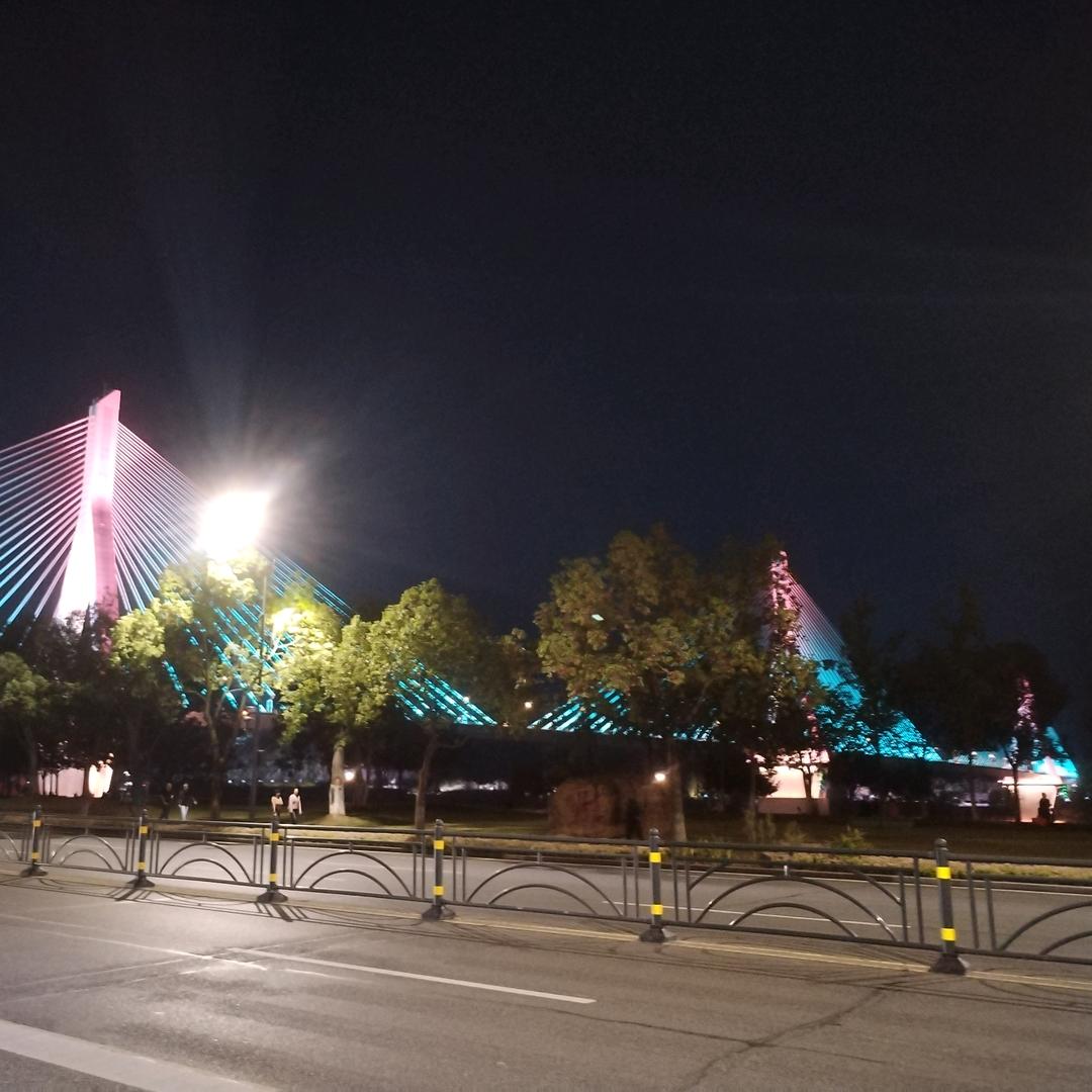 小露