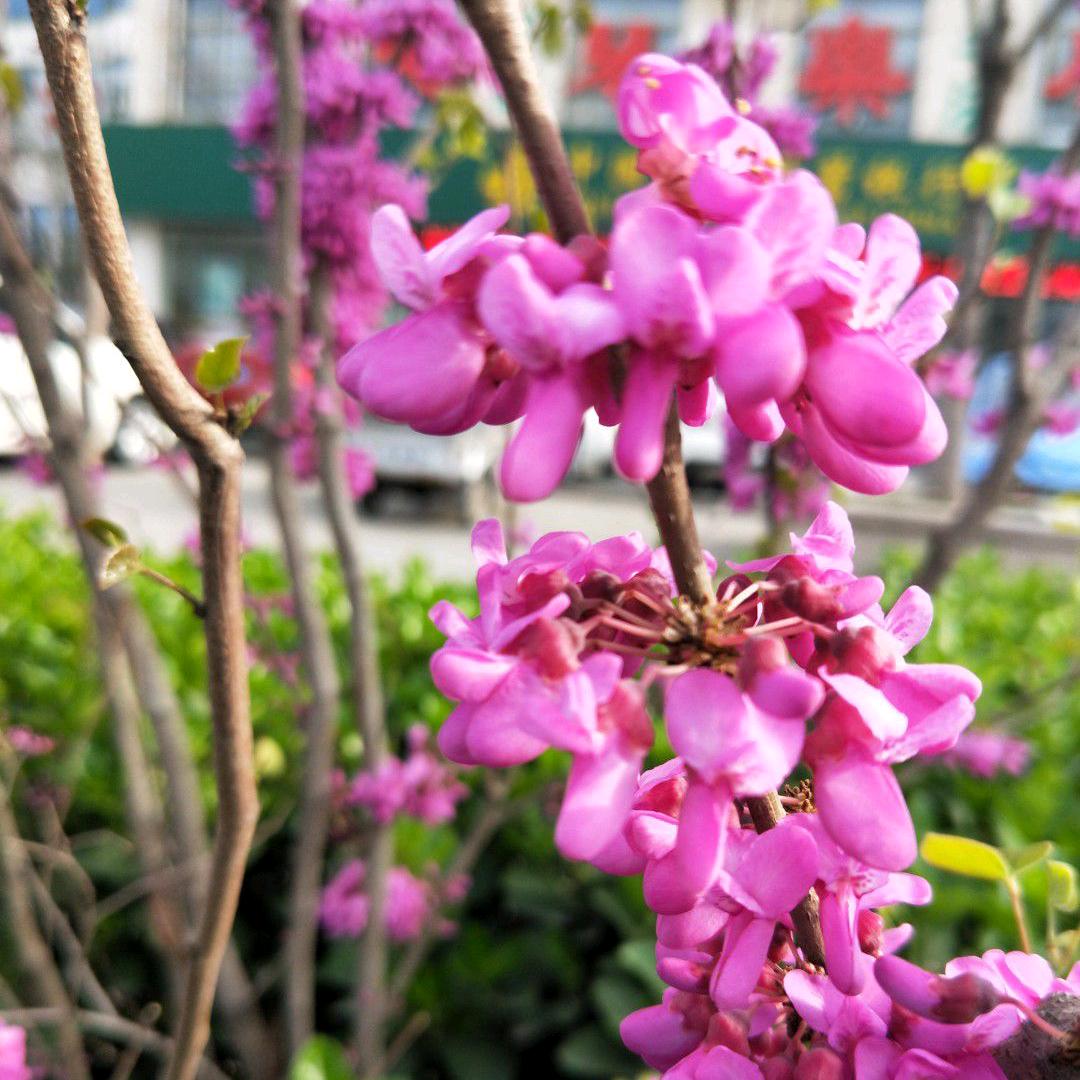 幸福 密码