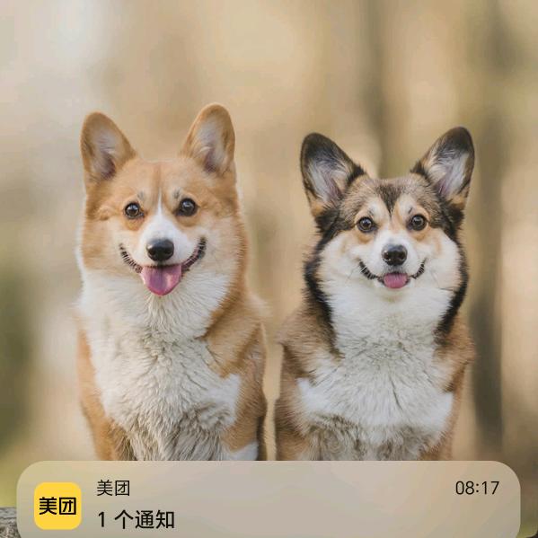 蚂蚁短视频（带货）