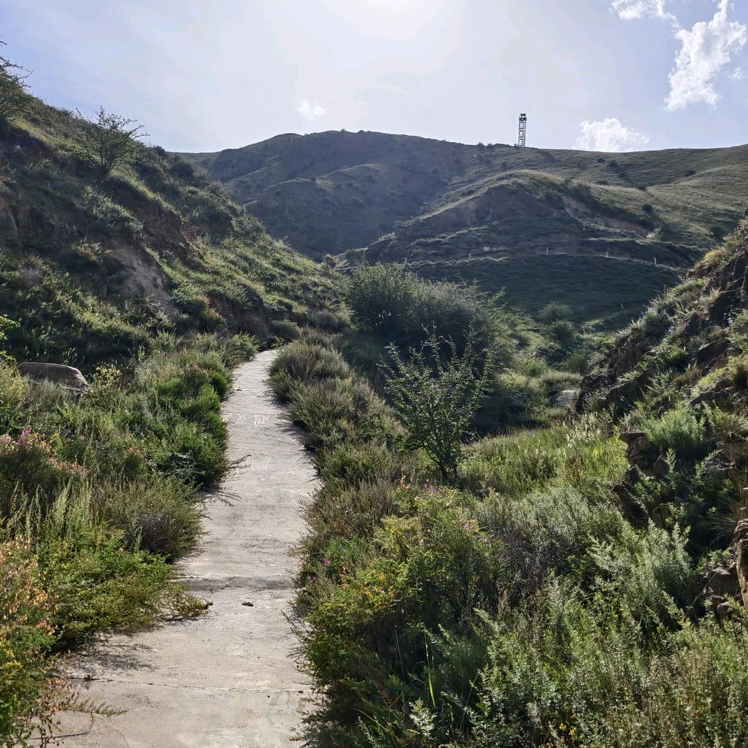 小顾的朋友圈👍