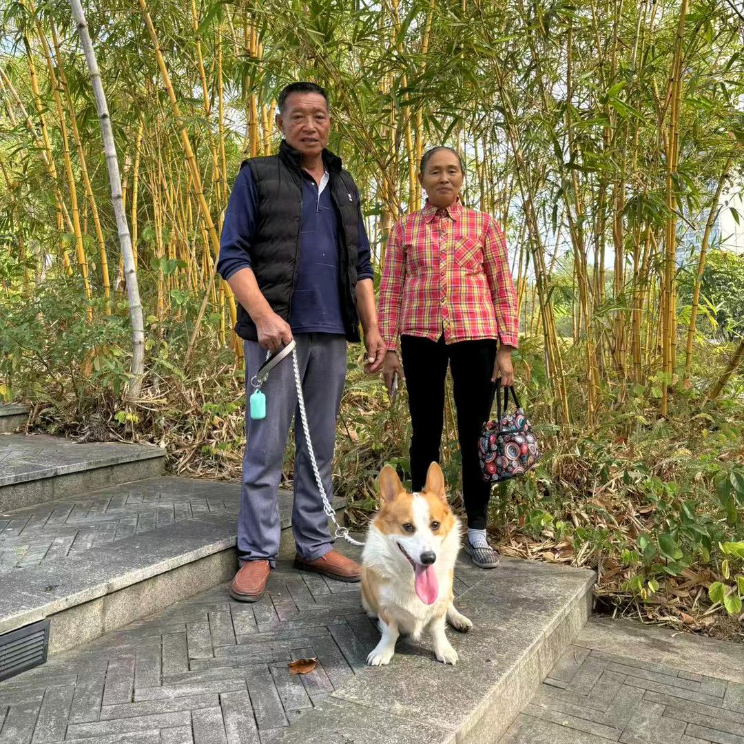 朱明华