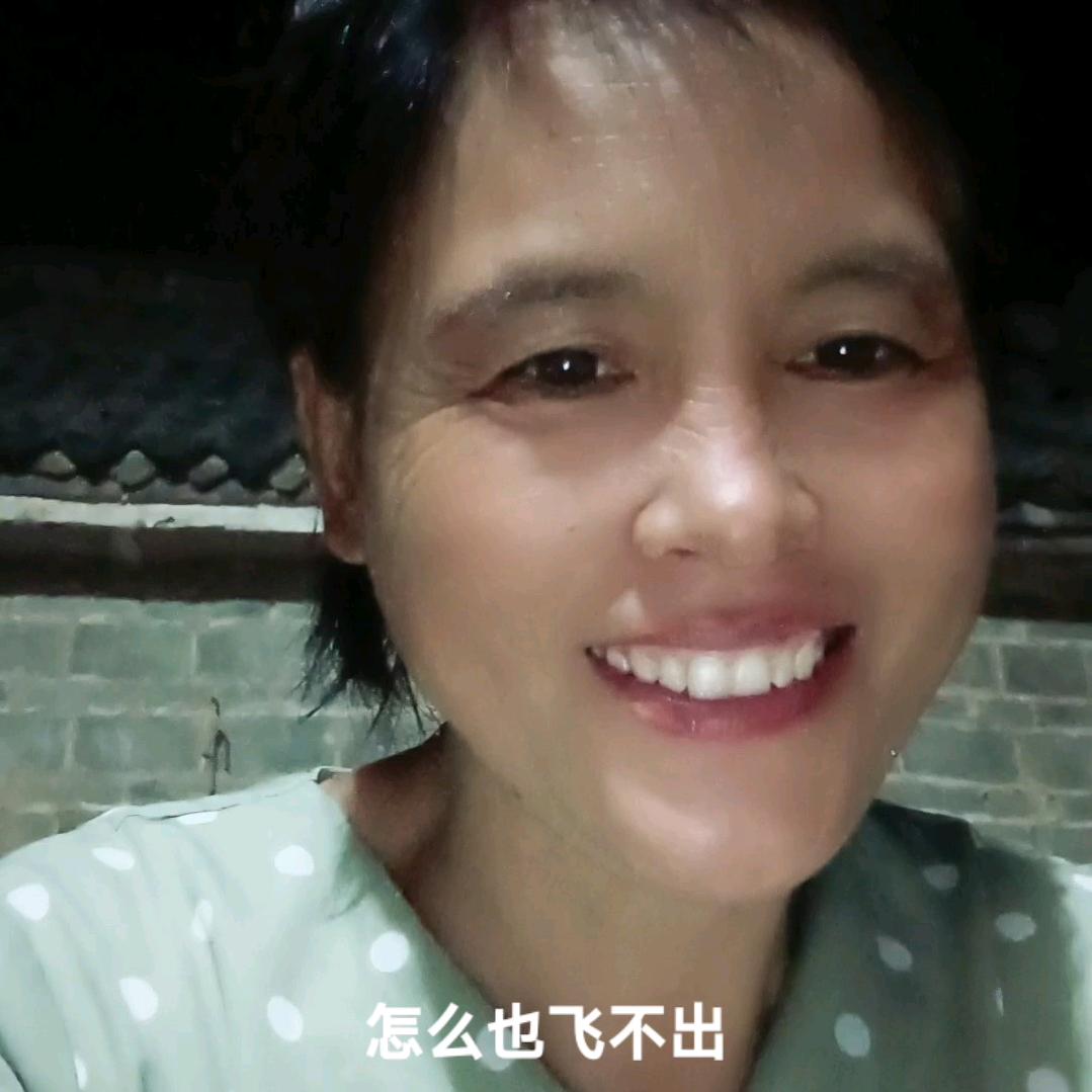 友谊长存