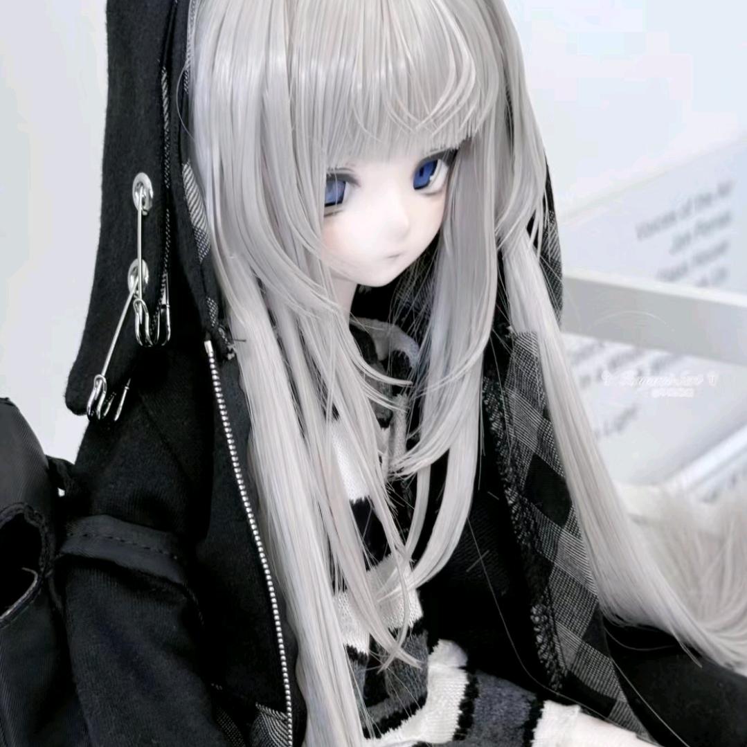 白玫瑰