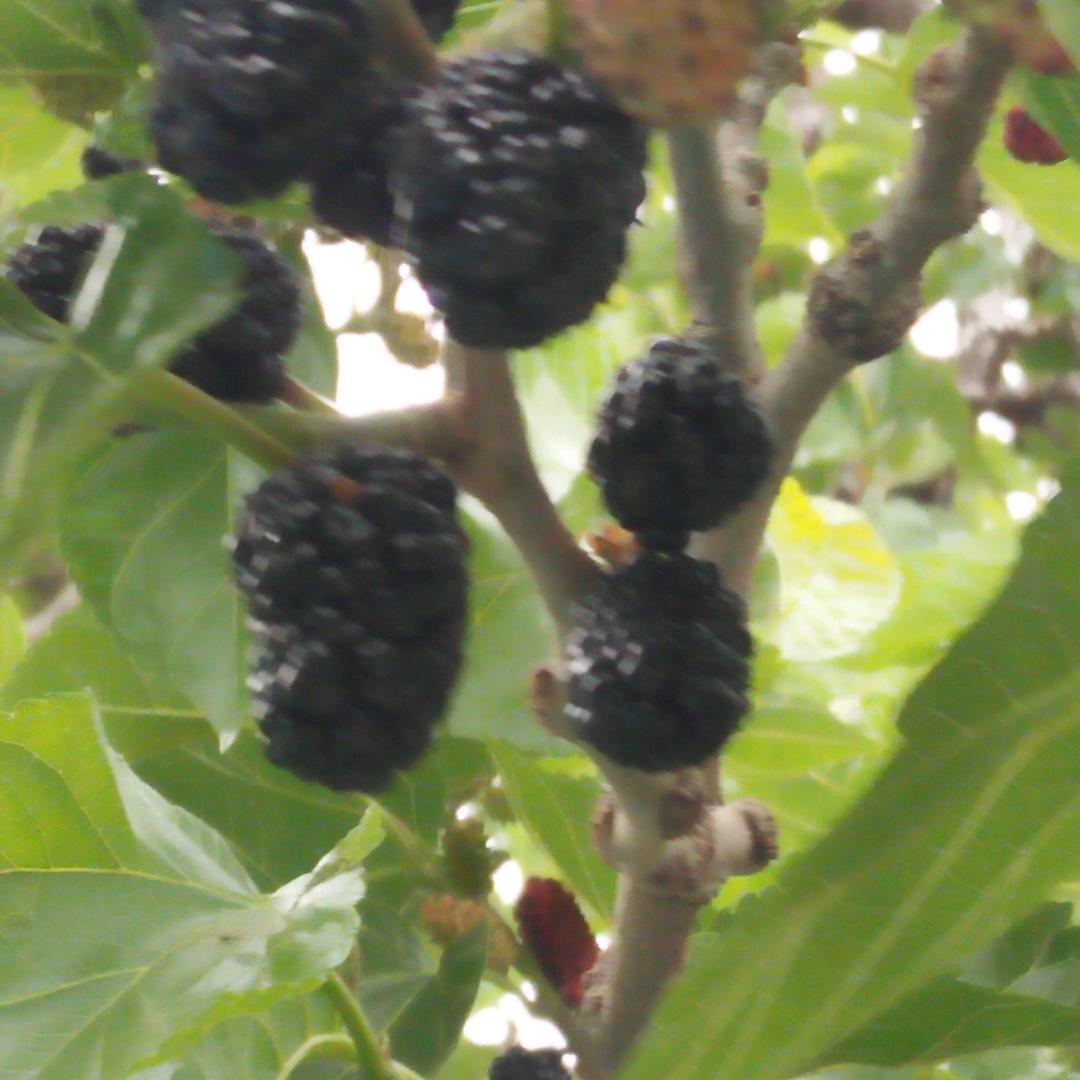 笑着退场💔💔💔