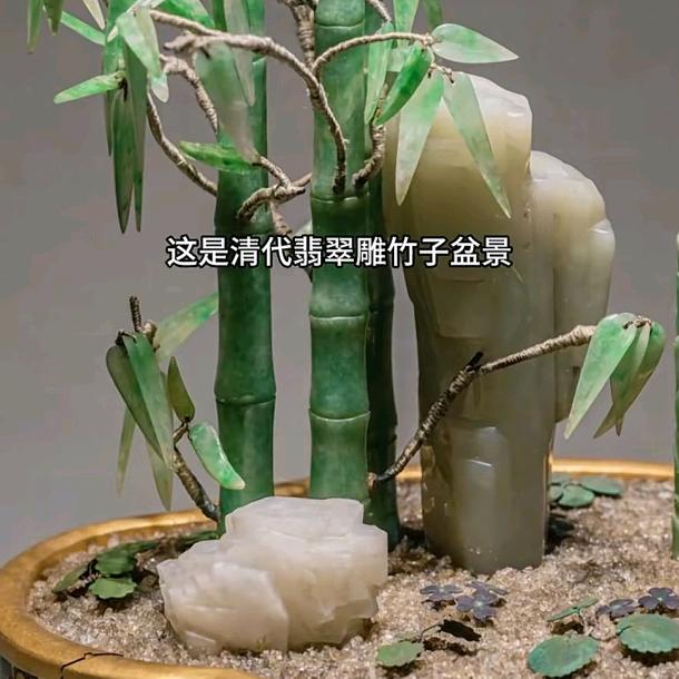知竹
