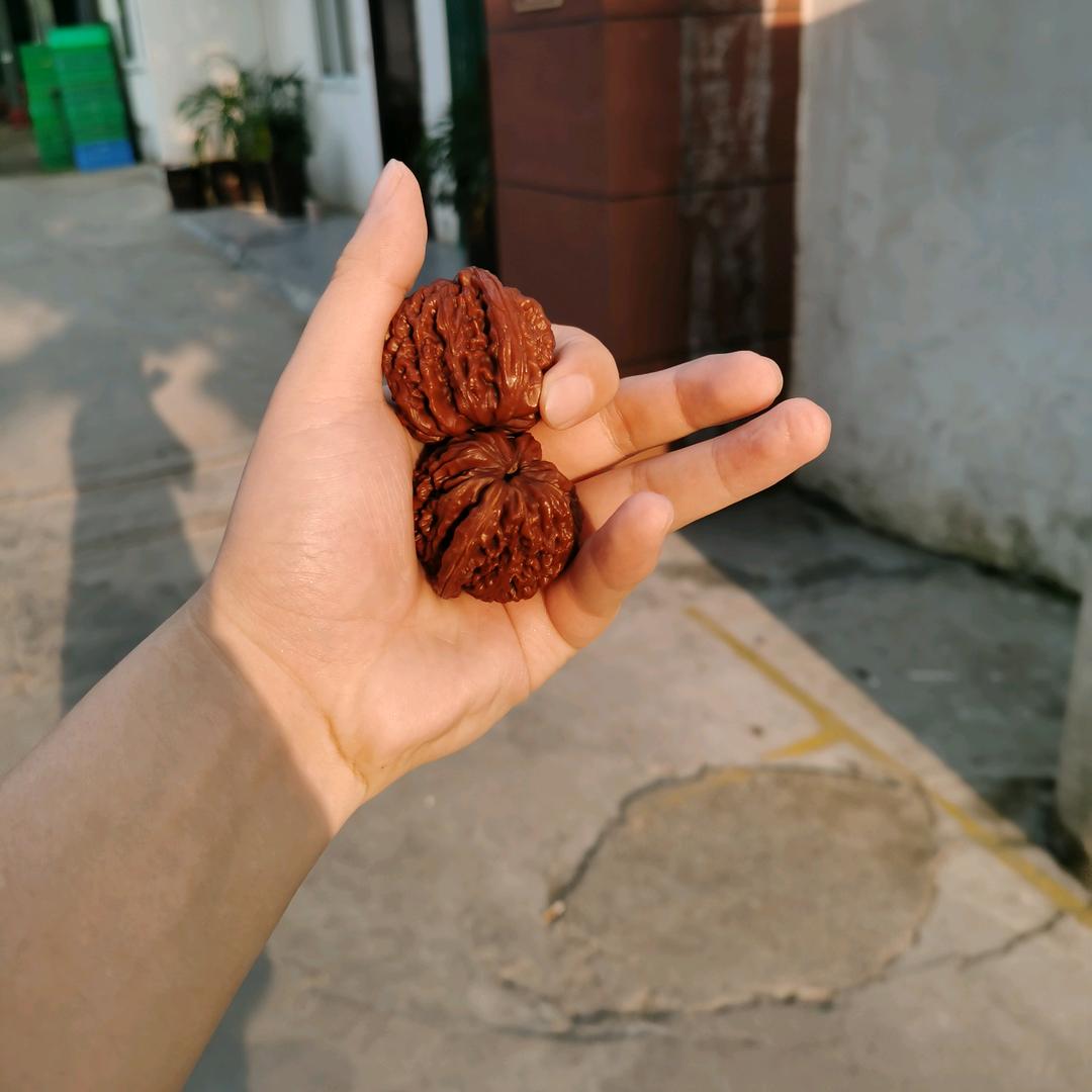 游戏菜