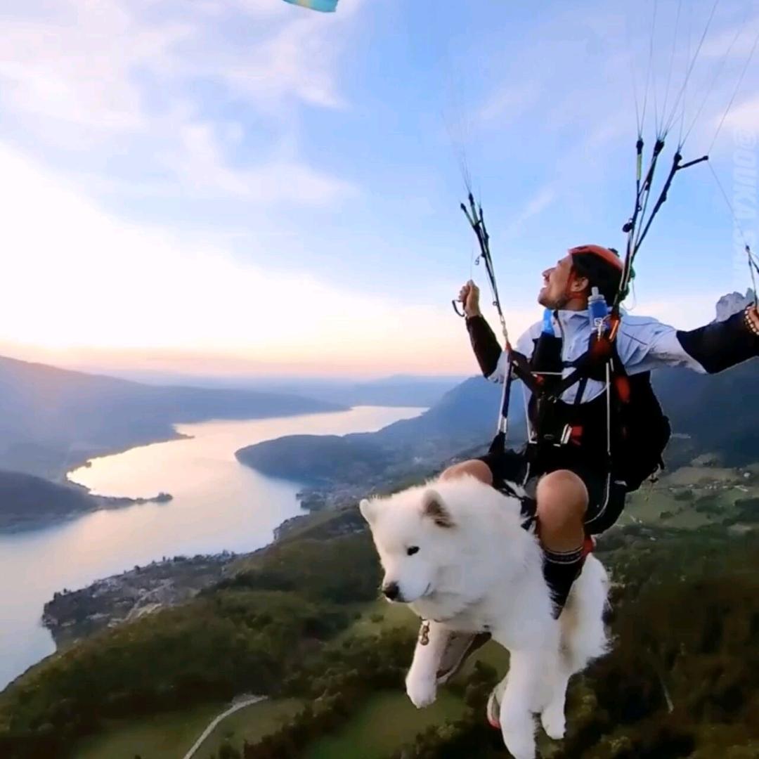 滑翔伞怦怦彭彭