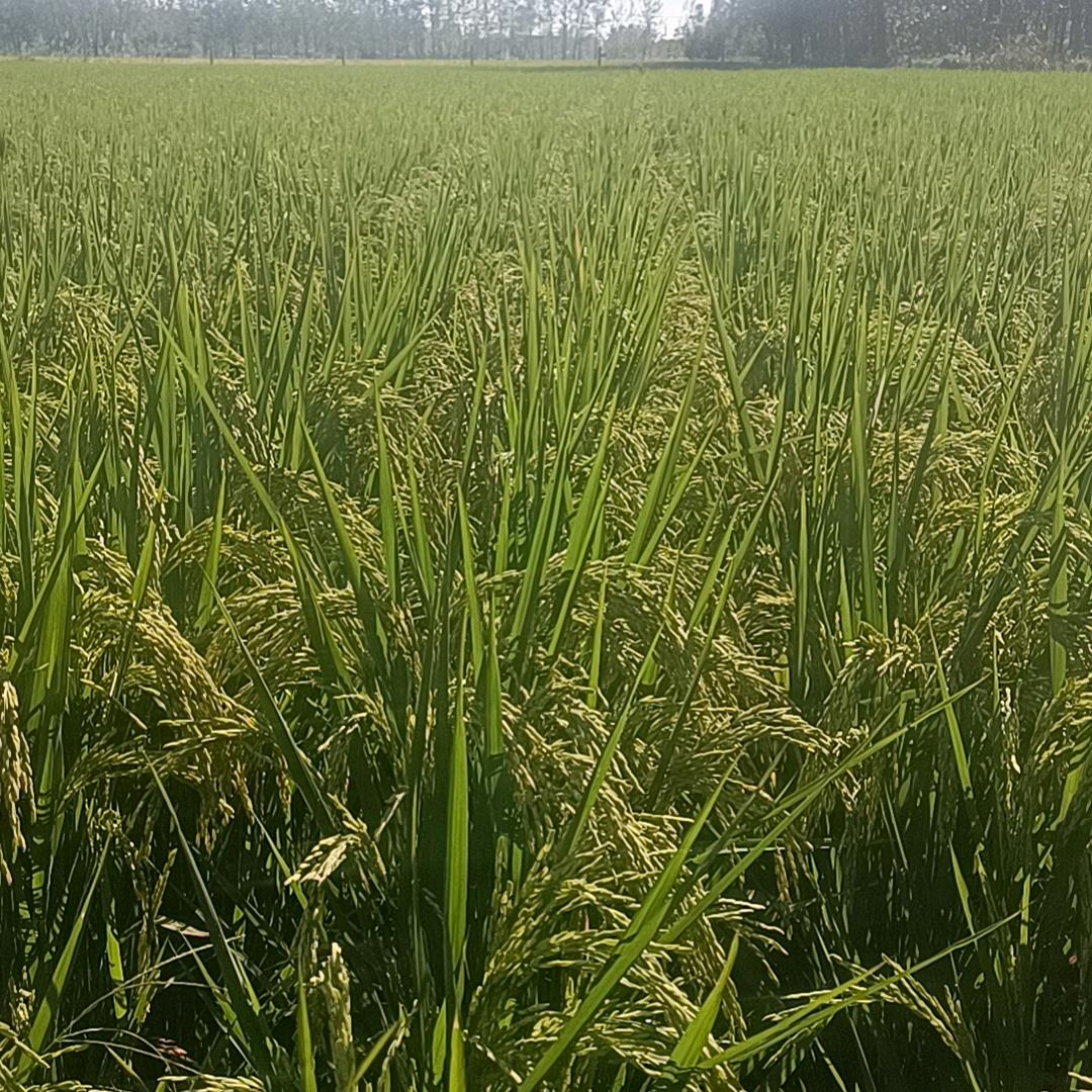 一个人无聊