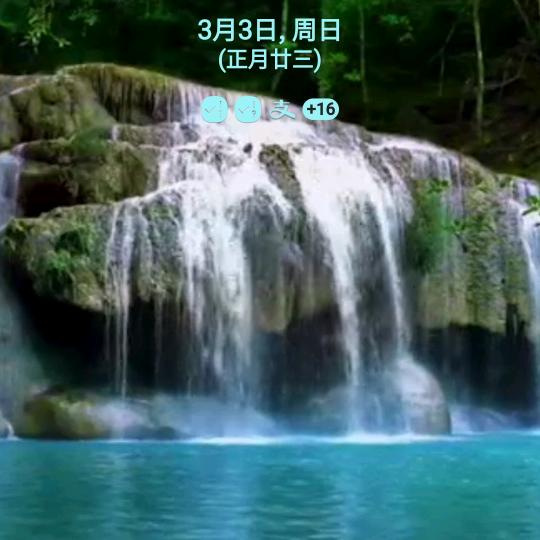 喝茶