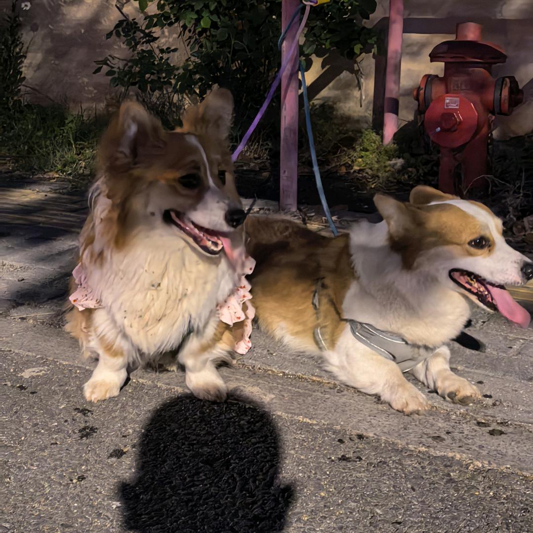 皮蛋瘦肉ZHOU🍪