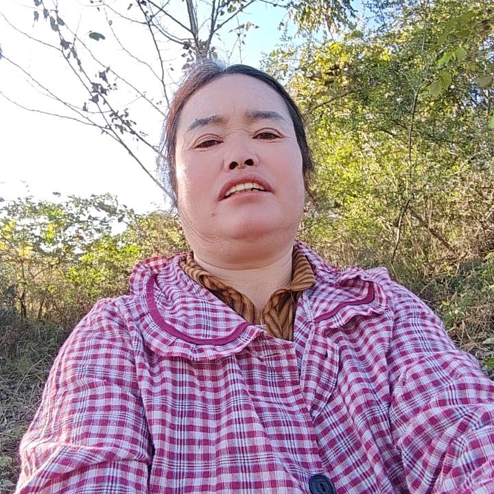 自由自在