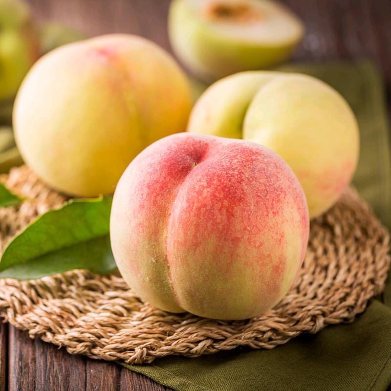 惠山区金耕水蜜桃种植园