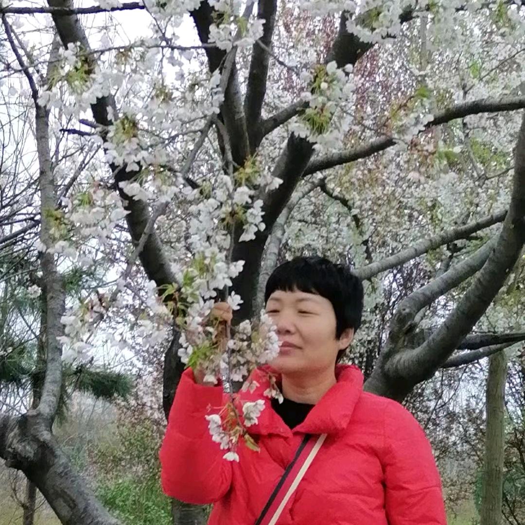 鲁姐🎧
