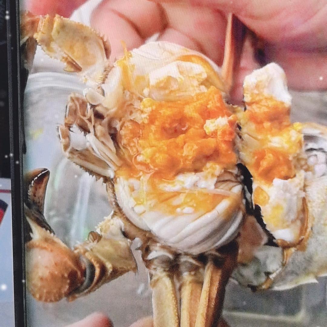 味二   兴化红膏大闸蟹