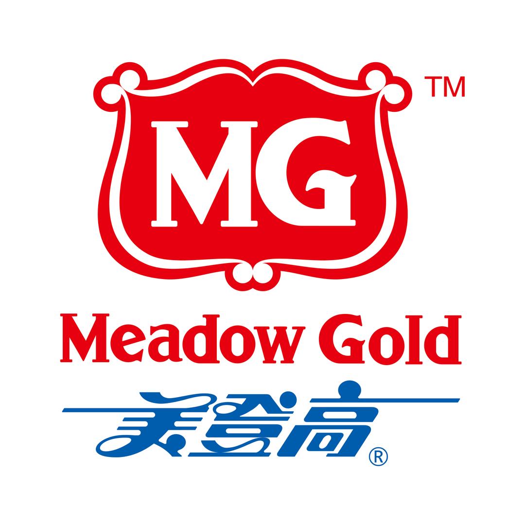 美登高冰淇凌批发