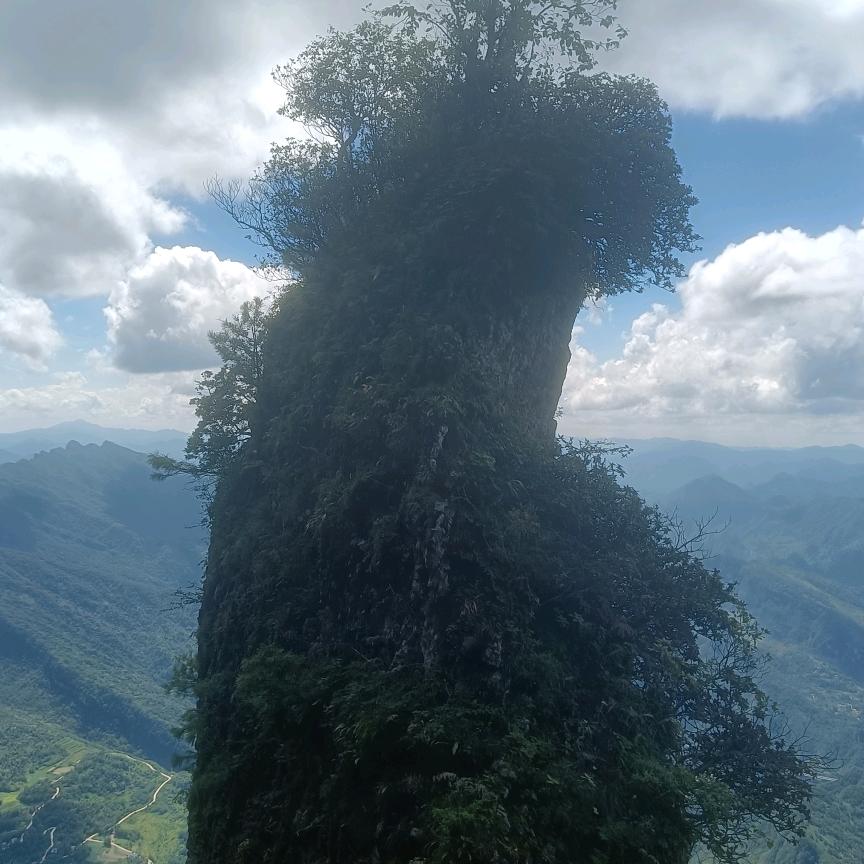 身不由己