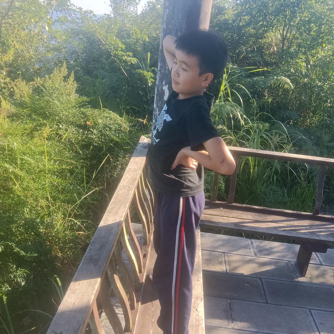 Σ( ° △ °|||)︴