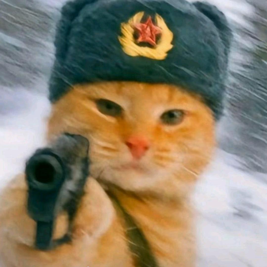 李冲。