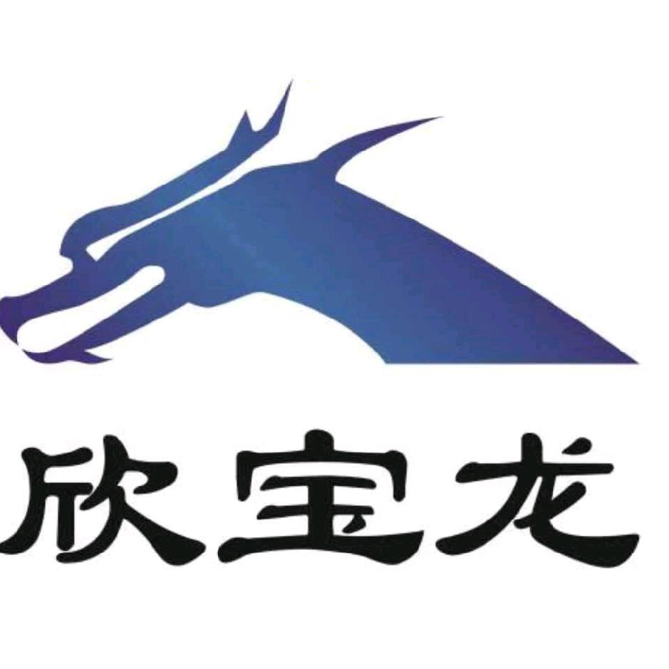 欣宝龙汽车脚垫