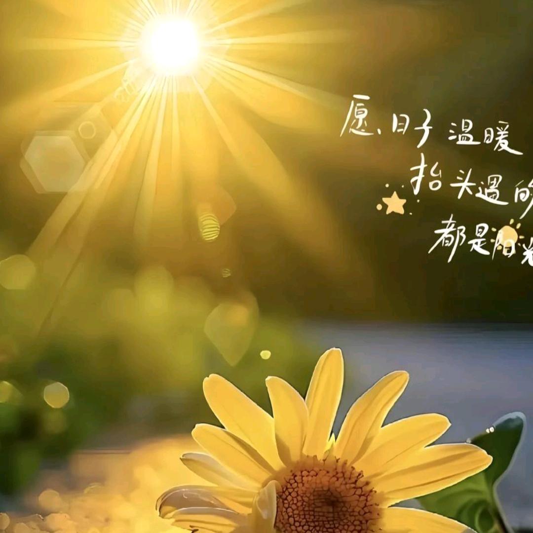 明天会更美好