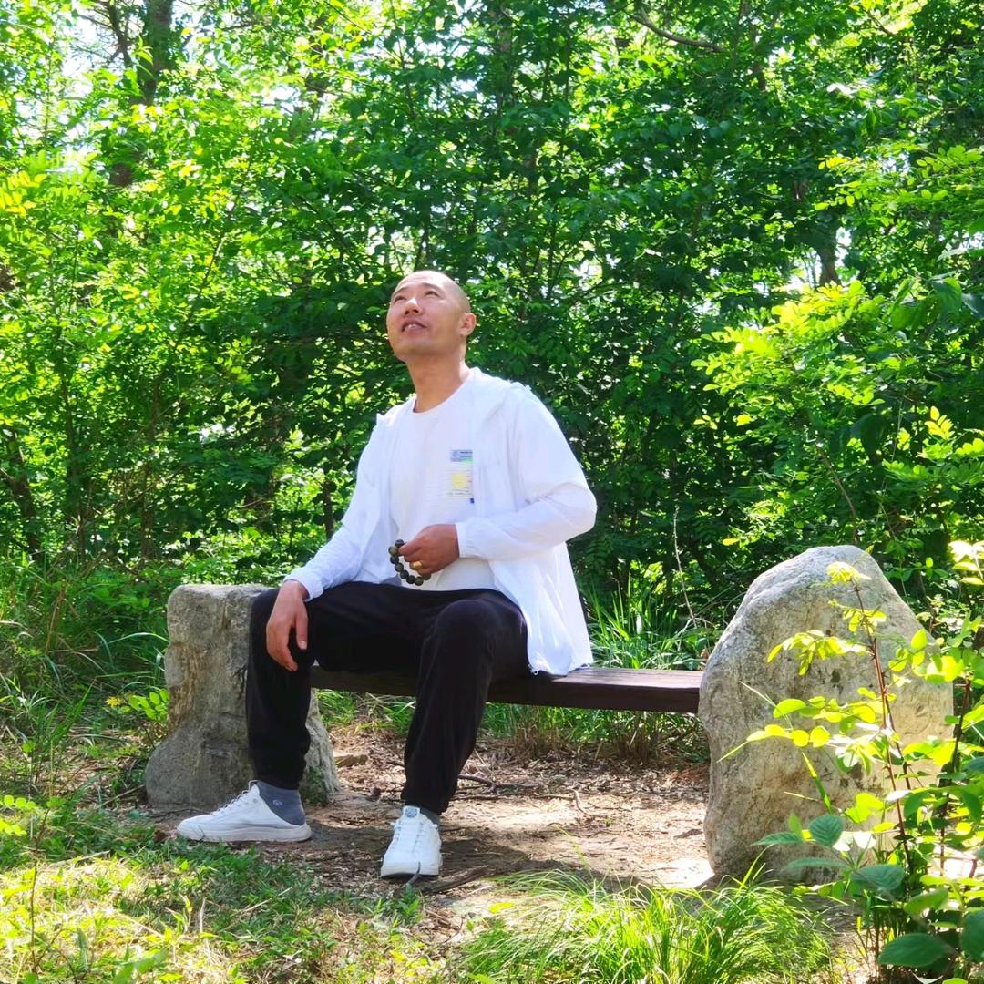 起兮飞扬