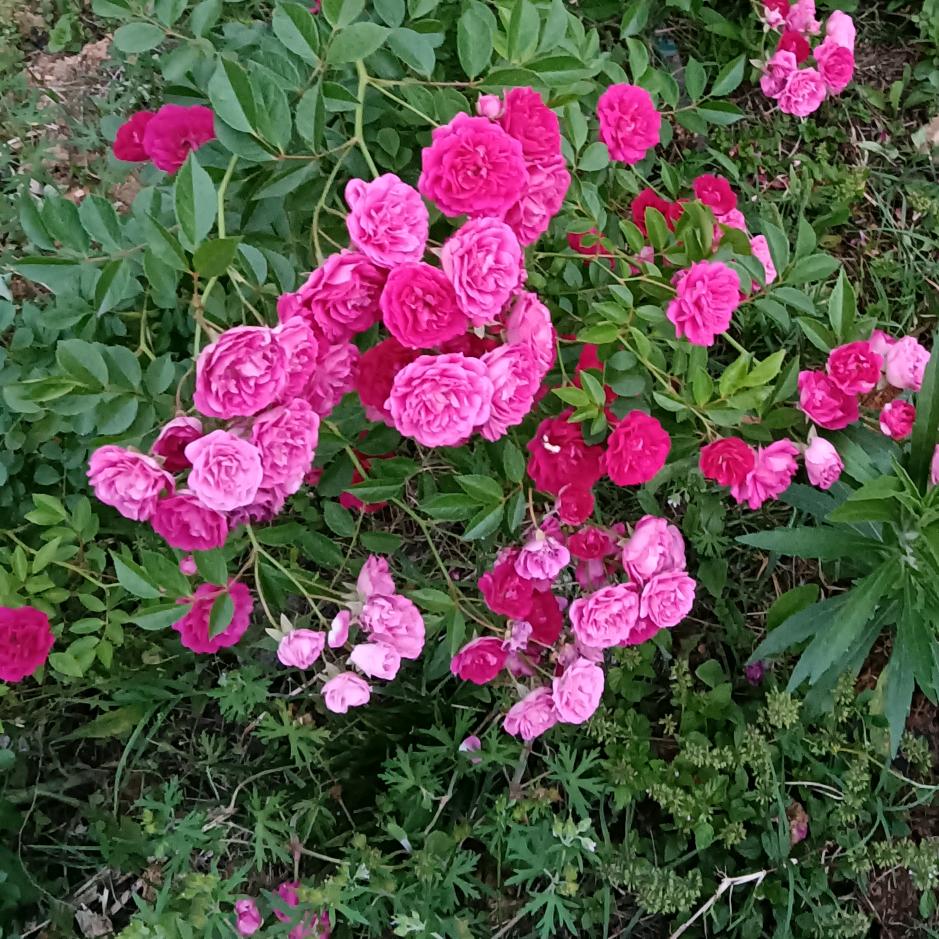 1 2 2